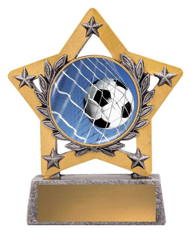 Mini Star Colour – Ball in Net