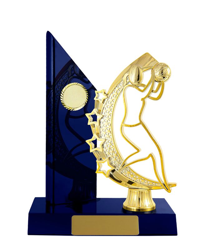 Netball Trophy 195mm