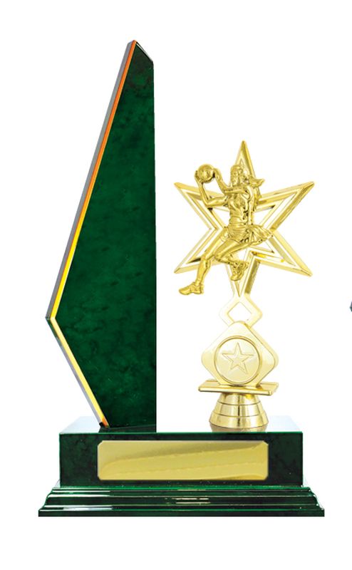 Netball Trophy 305mm