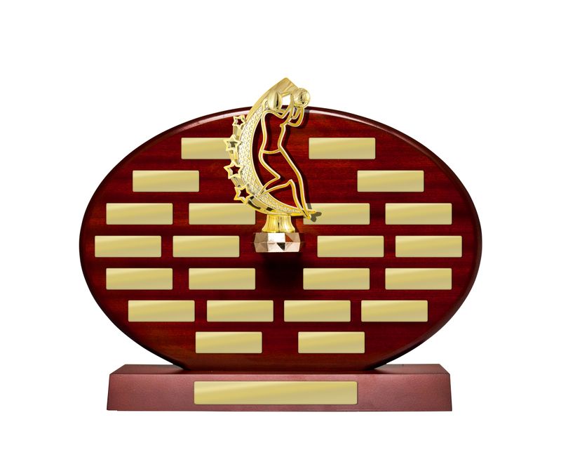 Netball Perpetual Trophy 280mm