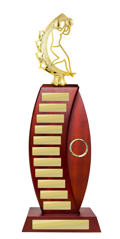 Netball Perpetual Trophy 440mm