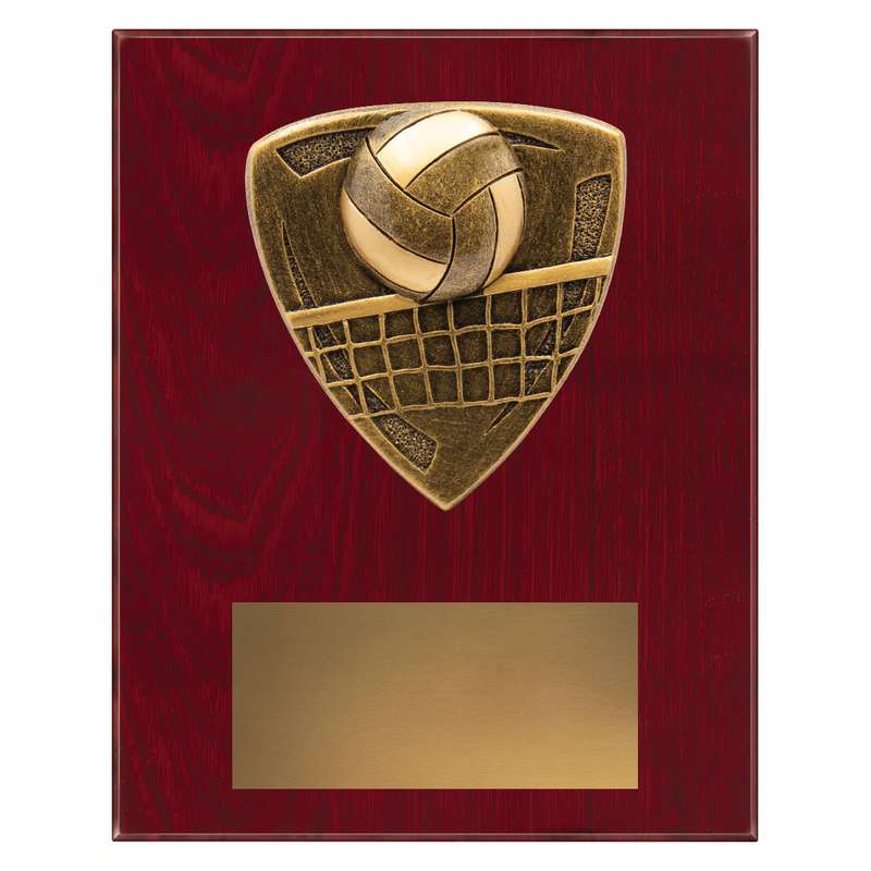 Nova Plaque – Volleyball