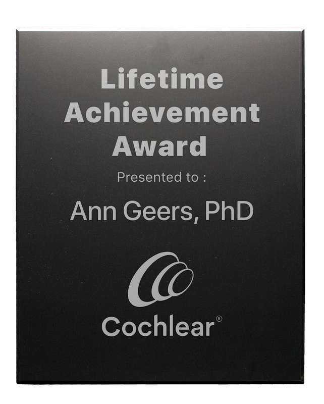 Budget Plaque Black With Strut – 330mm X 267mm