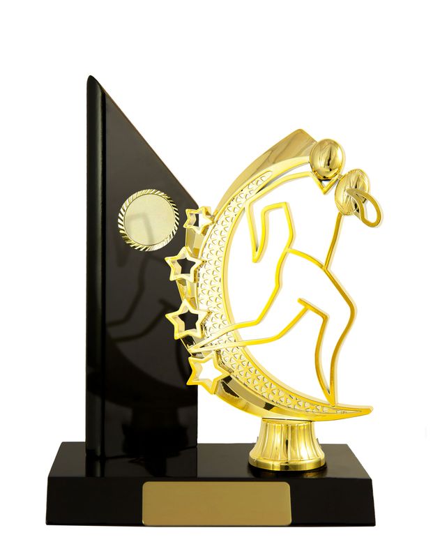Rugby Trophy 195mm