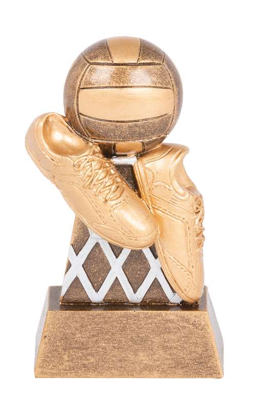 Cyber Series – Netball