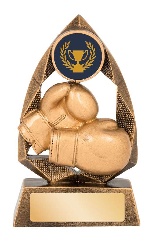 Jewel Series – Boxing – 25mm Insert