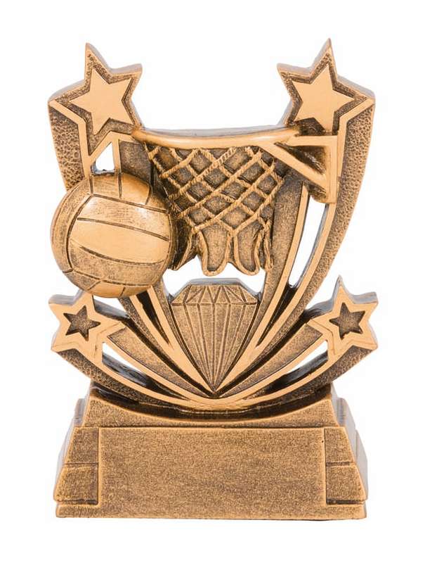 Solar Series – Netball