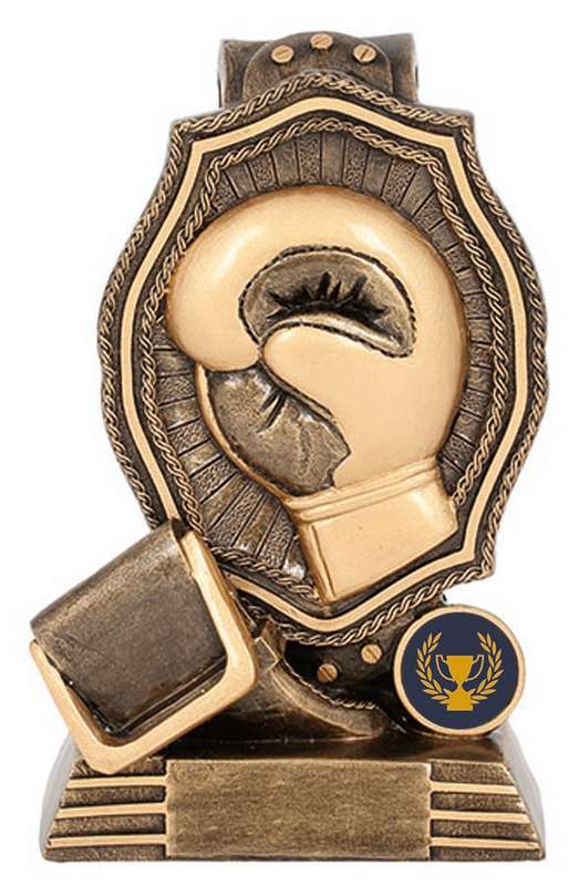 Boxing – Belt – 25mm Insert