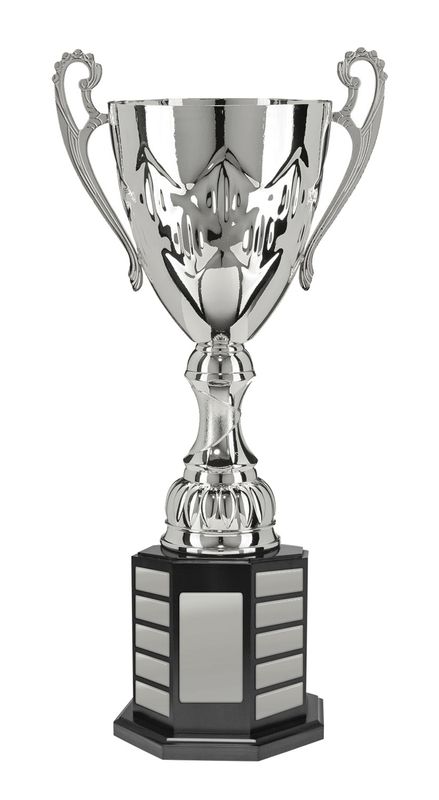 All Sports Perpetual Trophy 610mm