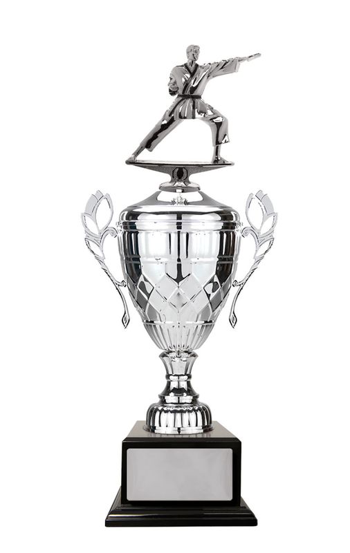 Martial Arts Trophy 570mm