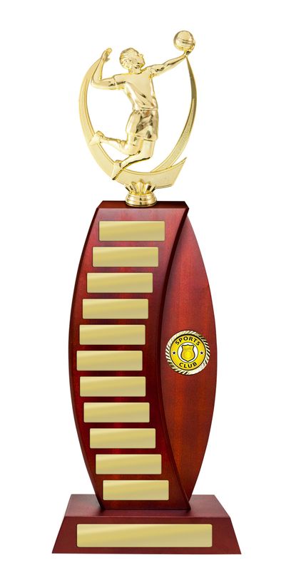 Volleyball Perpetual Trophy 440mm