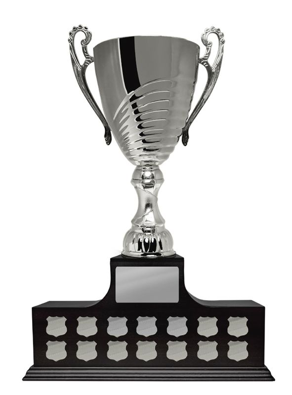 All Sports Perpetual Trophy 460mm