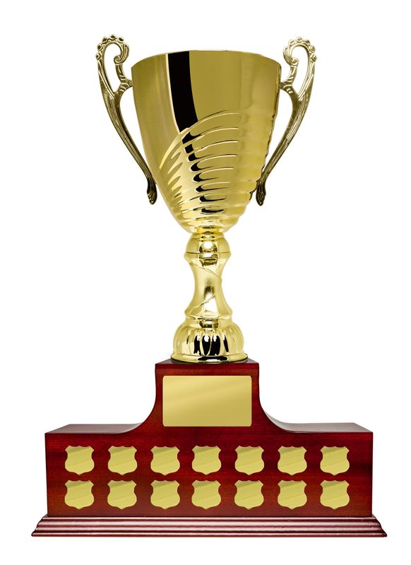 All Sports Perpetual Trophy 460mm