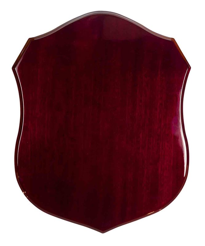 All Sports Plaque 600mm