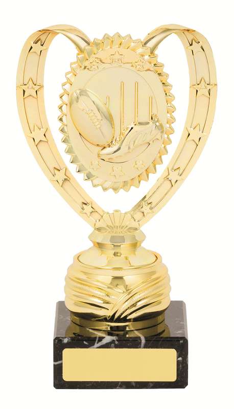 General Awards – 200mm