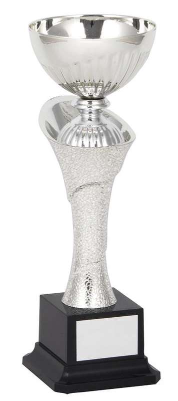 Metal Bowl Trophy