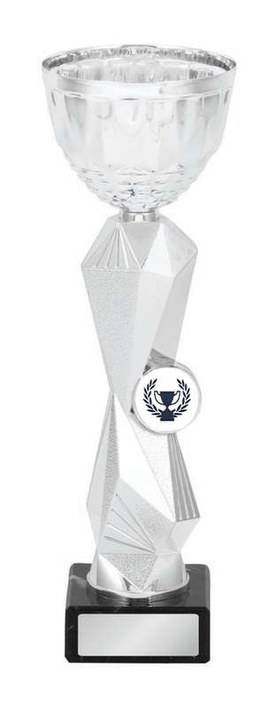 Metal Cup Trophy