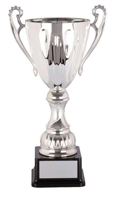 Metal Cup Trophy