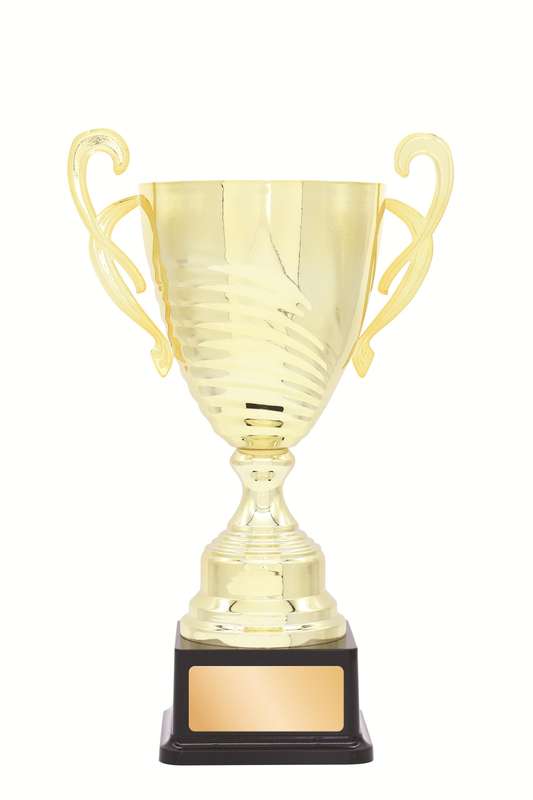 Metal Cup Trophy – 260mm