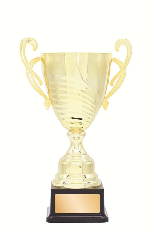Metal Cup Trophy – 350mm