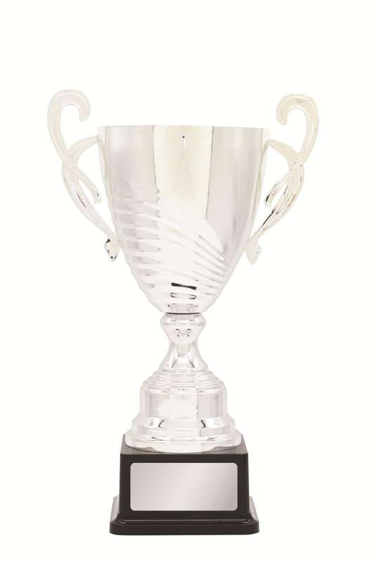 Metal Cup Trophy – 350mm