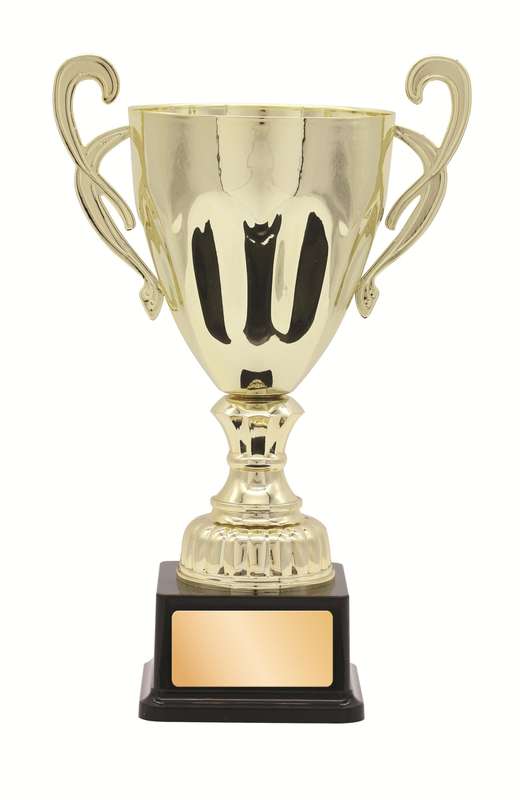 Metal Cup Trophy – 260mm