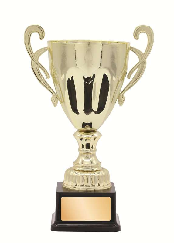 Metal Cup Trophy – 300mm