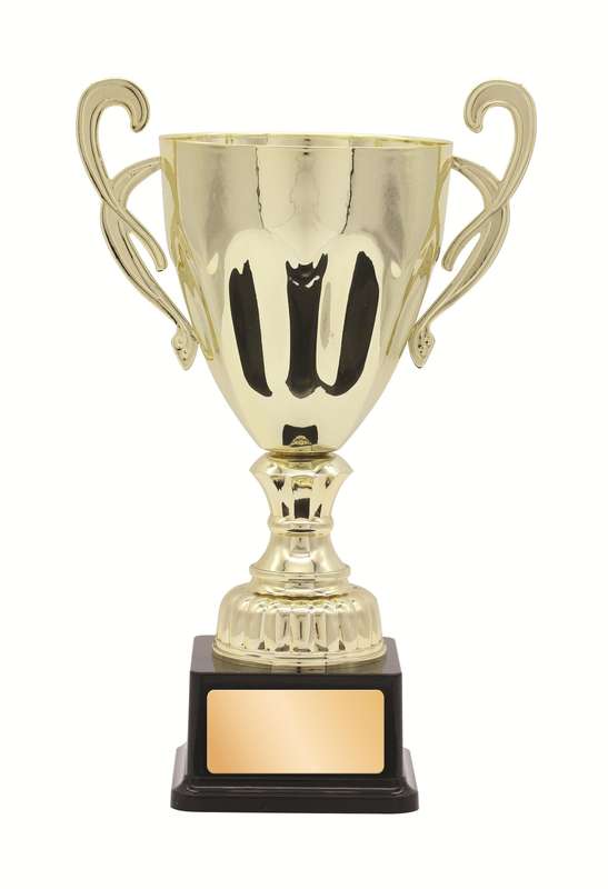 Metal Cup Trophy – 345mm