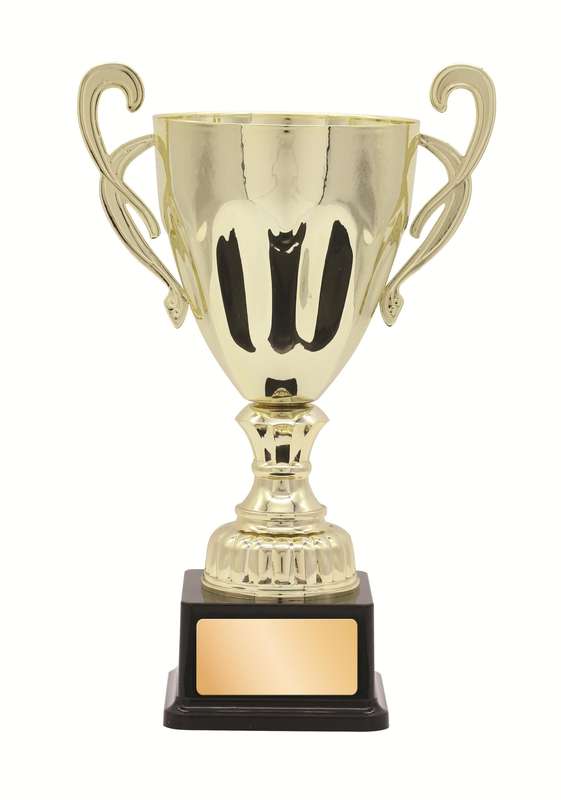 Metal Cup Trophy – 380mm