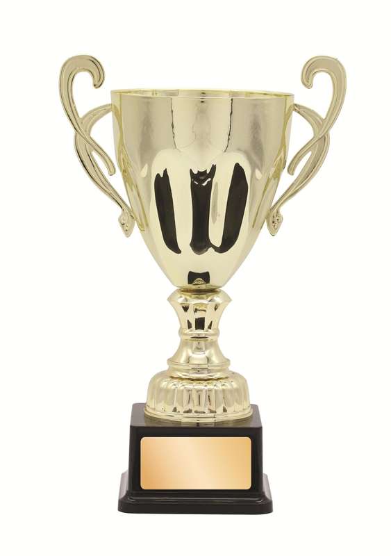 Metal Cup Trophy – 460mm