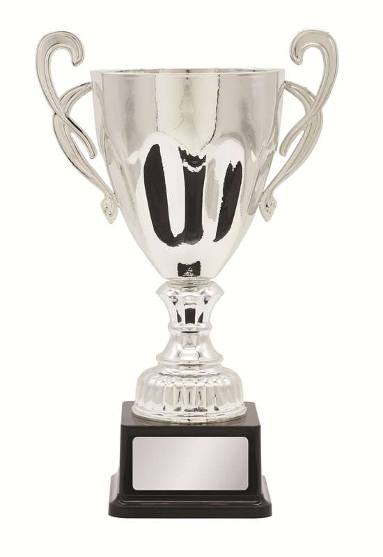 Metal Cup Trophy – 260mm