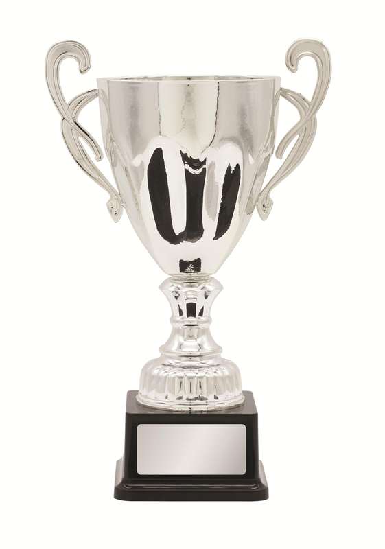 Metal Cup Trophy – 300mm