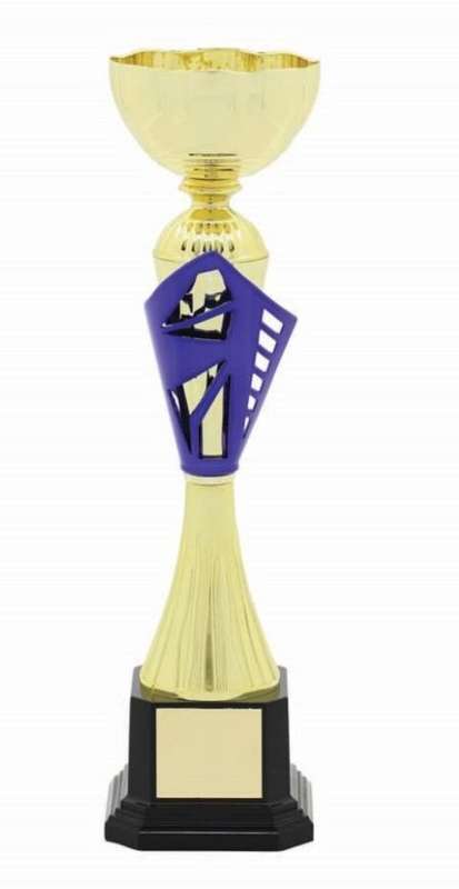 Metal Bowl Trophy