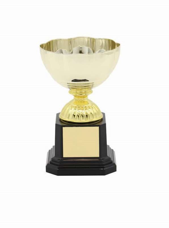 Metal Bowl Trophy