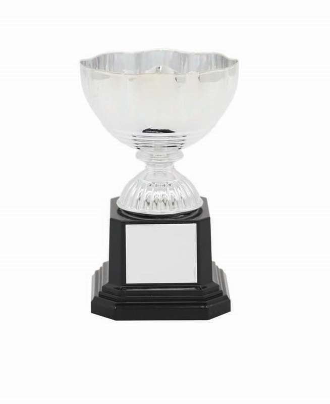 Metal Bowl Trophy