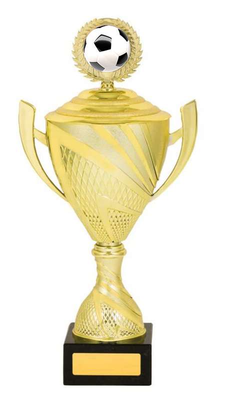 Football Cup Trophy – 50mm Insert