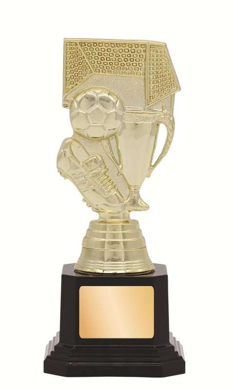 General Awards – 165mm