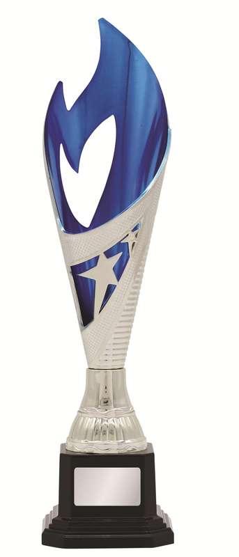 General Awards – 280mm – Silver/Blue