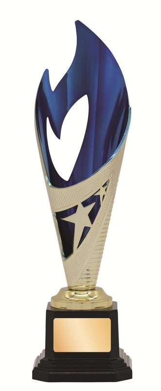 General Awards – 250mm – Gold/Blue