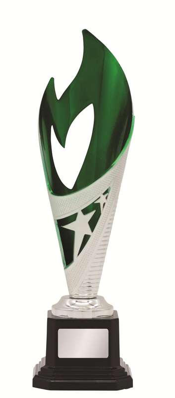 General Awards – 250mm – Silver/Green