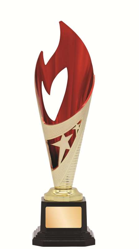 General Awards – 250mm – Gold/Red