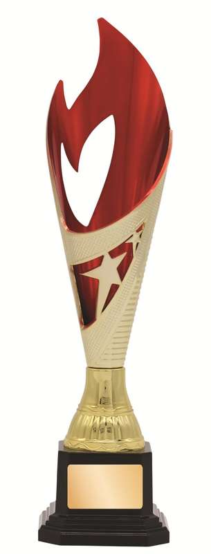 General Awards – 280mm – Gold/Red