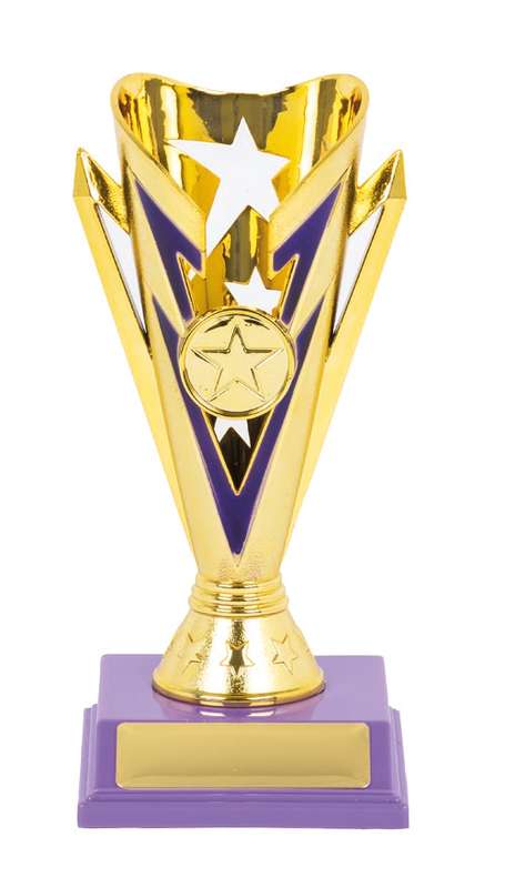 Flash Cup Sport Trophy – 25mm Insert