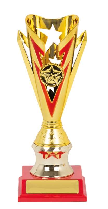 Flash Cup Sport Trophy – 25mm Insert