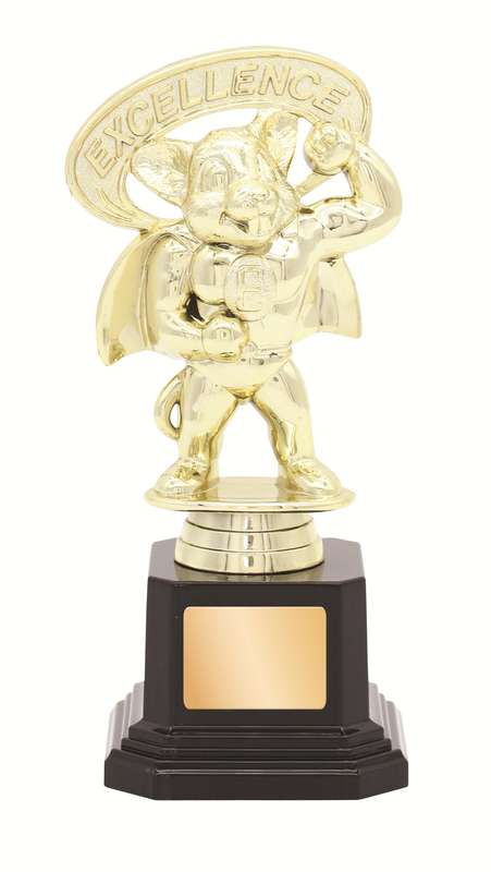 General Awards – 165mm