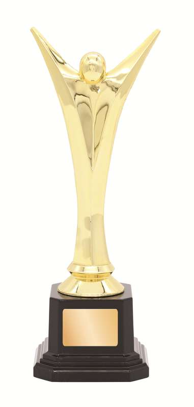 General Awards – 210mm