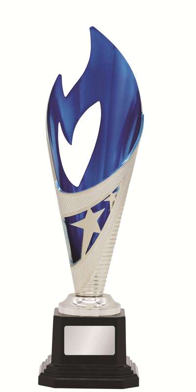General Awards – 250mm – Silver/Blue