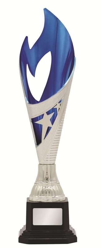 General Awards – 280mm – Silver/Blue