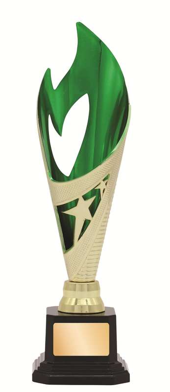 General Awards – 260mm – Gold/Green