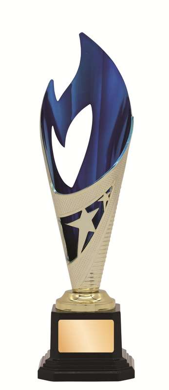 General Awards – 250mm – Gold/Blue
